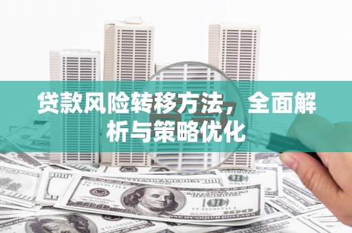 弥勒贷款风险转移方法，全面解析与策略优化