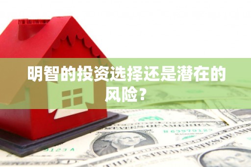 弥勒明智的投资选择还是潜在的风险？
