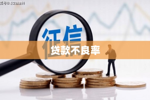 弥勒贷款不良率