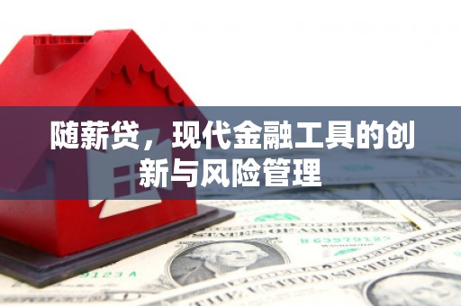 弥勒随薪贷，现代金融工具的创新与风险管理
