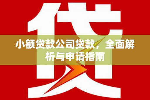 弥勒小额贷款公司贷款，全面解析与申请指南