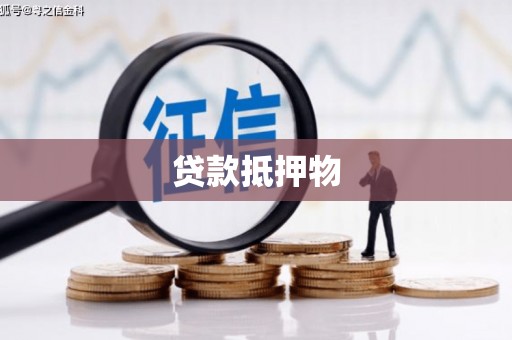 弥勒贷款抵押物