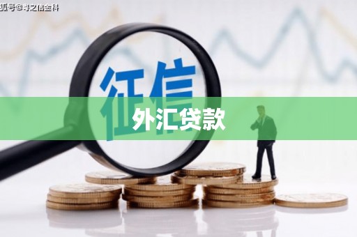 弥勒外汇贷款