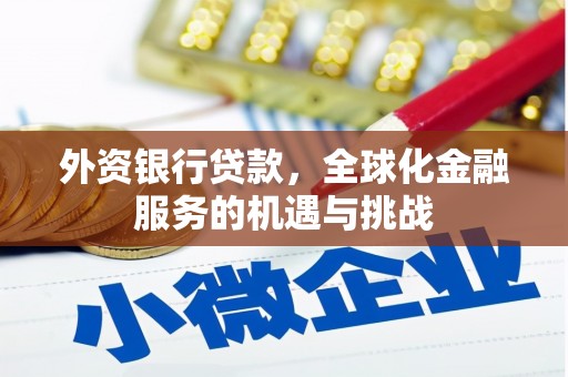 弥勒外资银行贷款，全球化金融服务的机遇与挑战