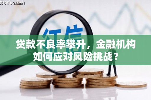 弥勒贷款不良率攀升，金融机构如何应对风险挑战？
