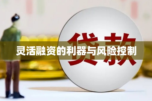 弥勒灵活融资的利器与风险控制