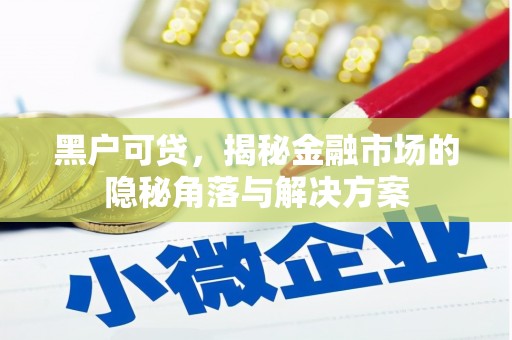 弥勒黑户可贷，揭秘金融市场的隐秘角落与解决方案