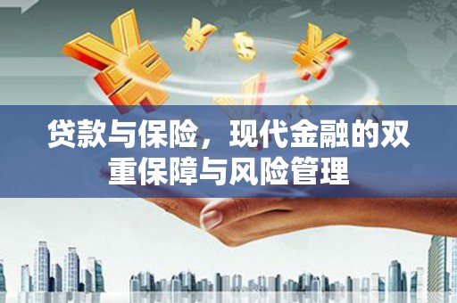 弥勒贷款与保险，现代金融的双重保障与风险管理