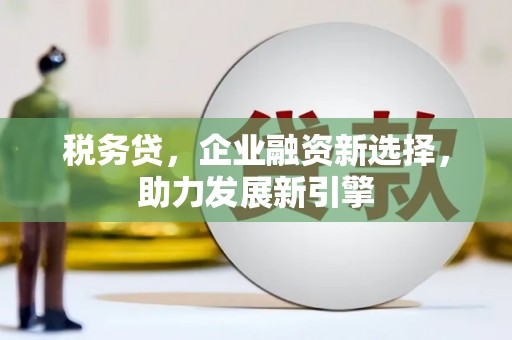 弥勒税务贷，企业融资新选择，助力发展新引擎