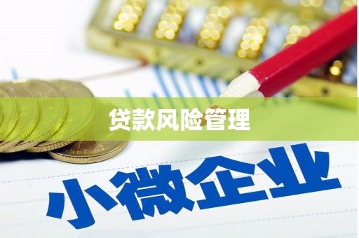 弥勒贷款风险管理