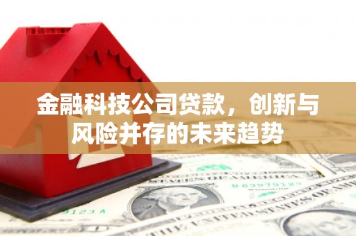 弥勒金融科技公司贷款，创新与风险并存的未来趋势