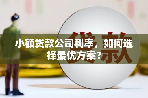 弥勒小额贷款公司利率，如何选择最优方案？