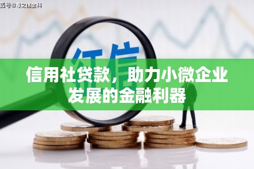 弥勒信用社贷款，助力小微企业发展的金融利器