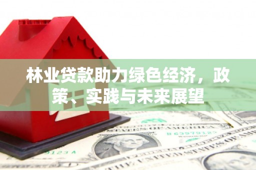 弥勒林业贷款助力绿色经济，政策、实践与未来展望