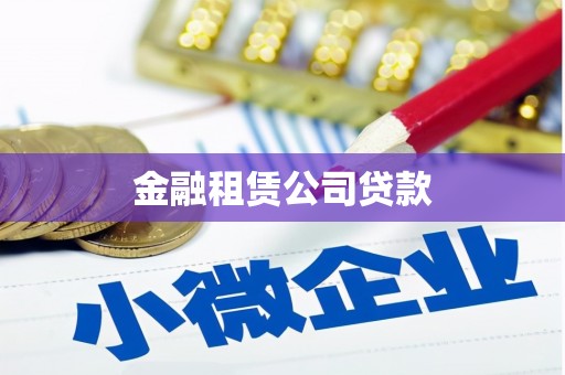 弥勒金融租赁公司贷款