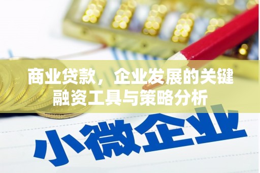 弥勒商业贷款，企业发展的关键融资工具与策略分析
