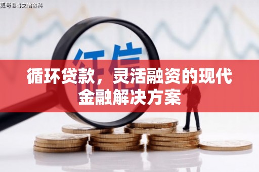 弥勒循环贷款，灵活融资的现代金融解决方案
