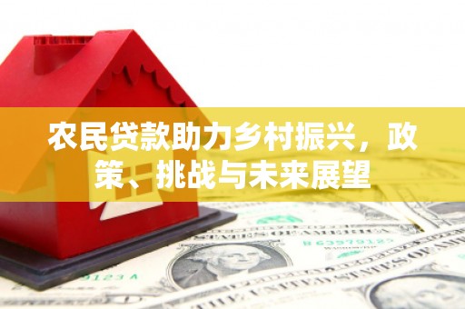 弥勒农民贷款助力乡村振兴，政策、挑战与未来展望