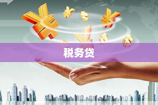弥勒税务贷