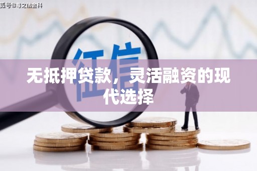 弥勒无抵押贷款，灵活融资的现代选择