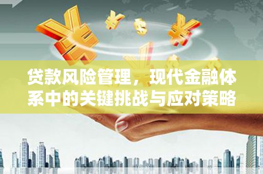 弥勒贷款风险管理，现代金融体系中的关键挑战与应对策略