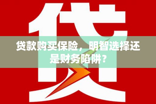 弥勒贷款购买保险，明智选择还是财务陷阱？