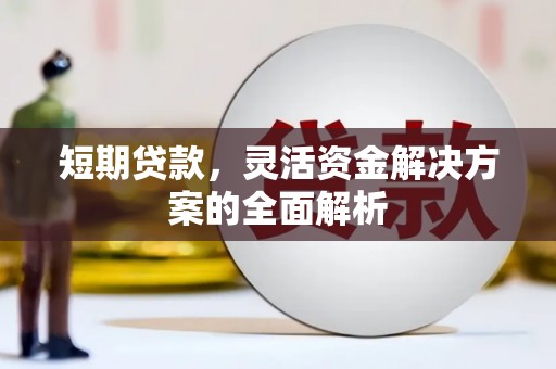 弥勒短期贷款，灵活资金解决方案的全面解析