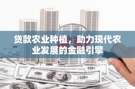 弥勒贷款农业种植，助力现代农业发展的金融引擎