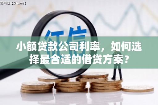 弥勒小额贷款公司利率，如何选择最合适的借贷方案？