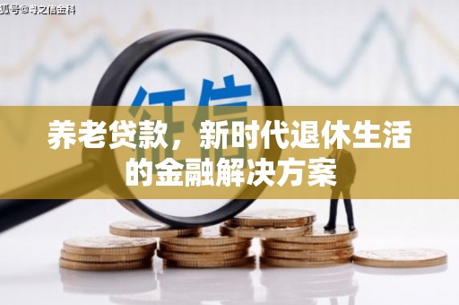 弥勒养老贷款，新时代退休生活的金融解决方案