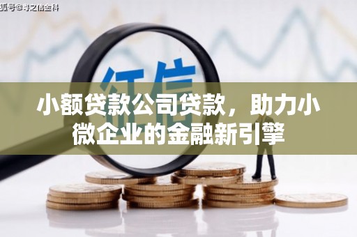 弥勒小额贷款公司贷款，助力小微企业的金融新引擎