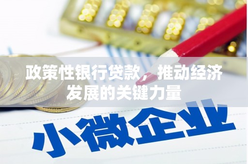 弥勒政策性银行贷款，推动经济发展的关键力量