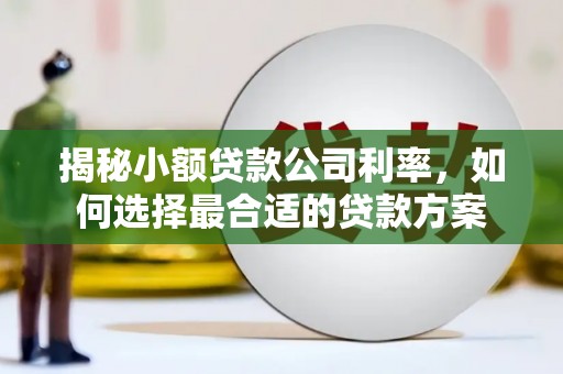 弥勒揭秘小额贷款公司利率，如何选择最合适的贷款方案