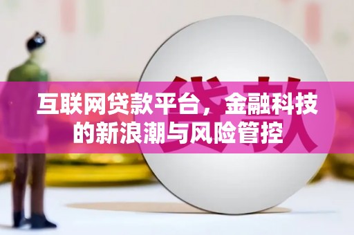 弥勒互联网贷款平台，金融科技的新浪潮与风险管控