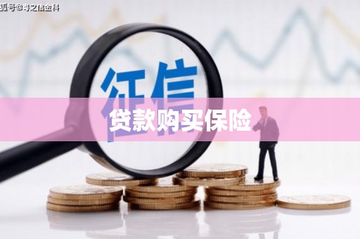 弥勒贷款购买保险