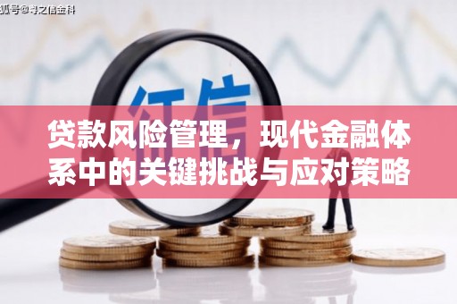 弥勒贷款风险管理，现代金融体系中的关键挑战与应对策略