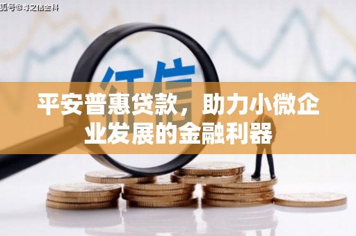 弥勒平安普惠贷款，助力小微企业发展的金融利器