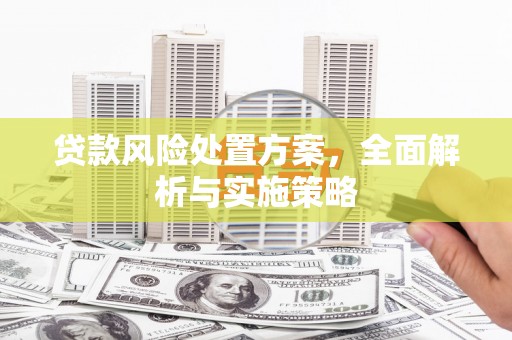 弥勒贷款风险处置方案，全面解析与实施策略