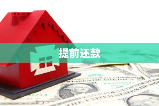 弥勒提前还款